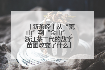 新茶经丨从“荒山”到“金山”，浙江茶二代的数字苗圃改变了什么