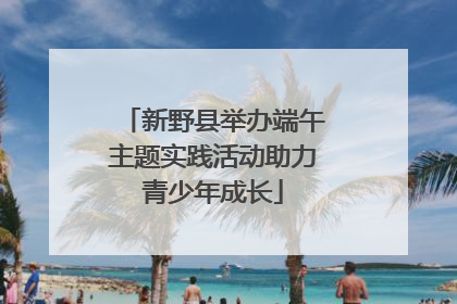 新野县举办端午主题实践活动助力青少年成长
