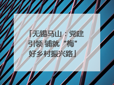 无锡马山：党建引领 铺就“梅”好乡村振兴路
