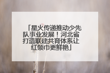 星火传递推动少先队事业发展！河北省打造联建共育体系让红领巾更鲜艳
