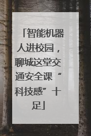 智能机器人进校园，聊城这堂交通安全课“科技感”十足