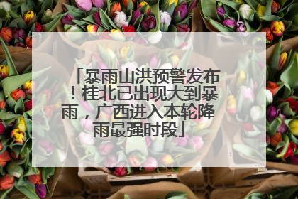 暴雨山洪预警发布！桂北已出现大到暴雨，广西进入本轮降雨最强时段