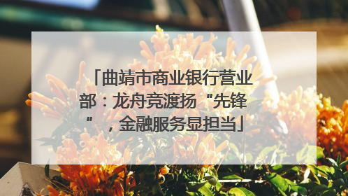曲靖市商业银行营业部：龙舟竞渡扬“先锋”，金融服务显担当