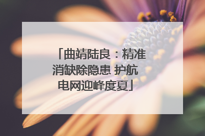 曲靖陆良：精准消缺除隐患 护航电网迎峰度夏