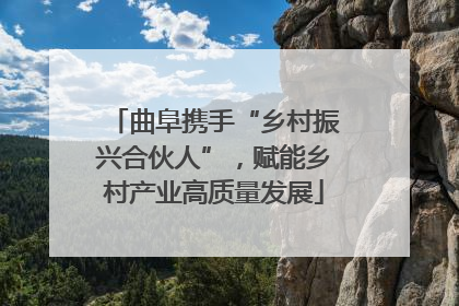 曲阜携手“乡村振兴合伙人”，赋能乡村产业高质量发展