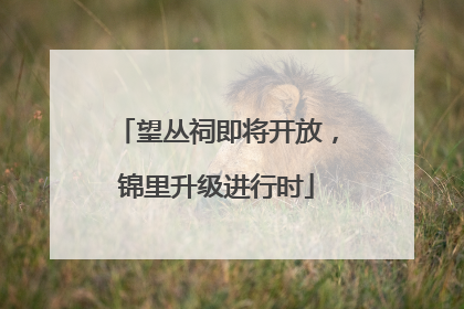 望丛祠即将开放，锦里升级进行时