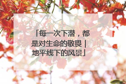 每一次下潜,都是对生命的敬畏|地平线下的风景