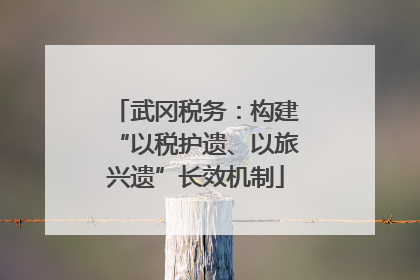 武冈税务：构建“以税护遗、以旅兴遗”长效机制