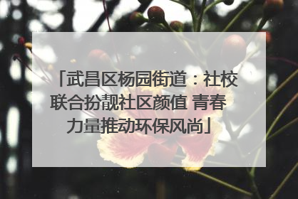 武昌区杨园街道：社校联合扮靓社区颜值 青春力量推动环保风尚