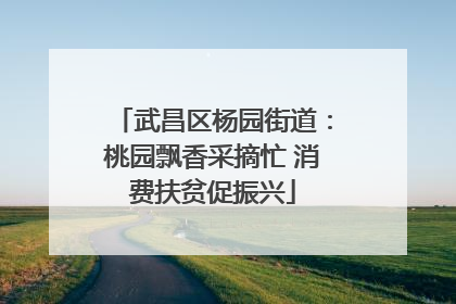 武昌区杨园街道：桃园飘香采摘忙 消费扶贫促振兴