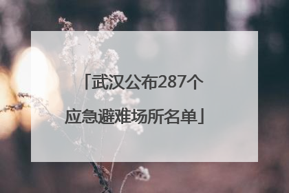 武汉公布287个应急避难场所名单