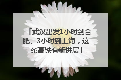 武汉出发1小时到合肥、3小时到上海，这条高铁有新进展