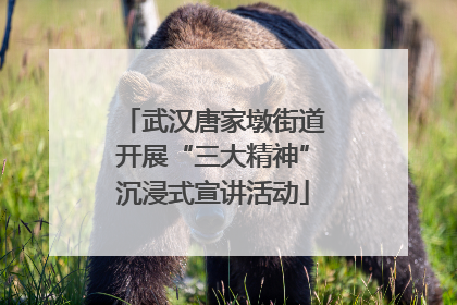 武汉唐家墩街道开展“三大精神”沉浸式宣讲活动