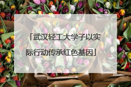 武汉轻工大学子以实际行动传承红色基因