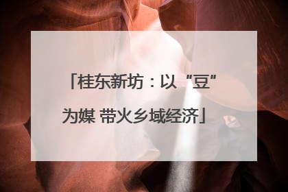 桂东新坊：以“豆”为媒 带火乡域经济