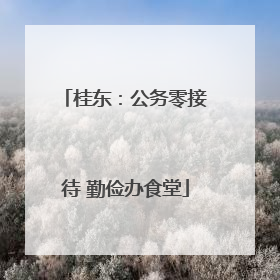 桂东：公务零接待 勤俭办食堂