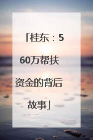 桂东：560万帮扶资金的背后故事