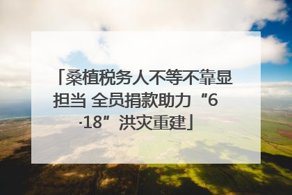 桑植税务人不等不靠显担当 全员捐款助力“6·18”洪灾重建