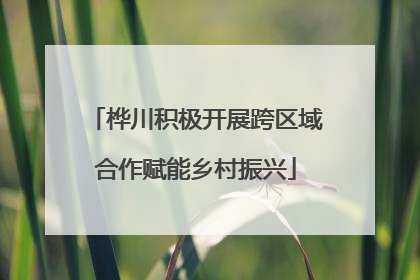 桦川积极开展跨区域合作赋能乡村振兴