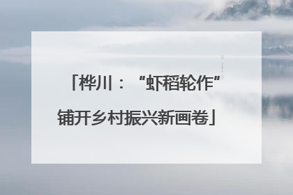 桦川：“虾稻轮作”铺开乡村振兴新画卷