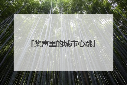 桨声里的城市心跳
