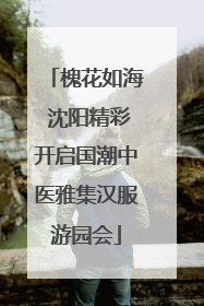 槐花如海 沈阳精彩开启国潮中医雅集汉服游园会