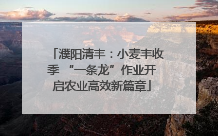 濮阳清丰：小麦丰收季 “一条龙”作业开启农业高效新篇章