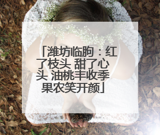 潍坊临朐：红了枝头 甜了心头 油桃丰收季果农笑开颜