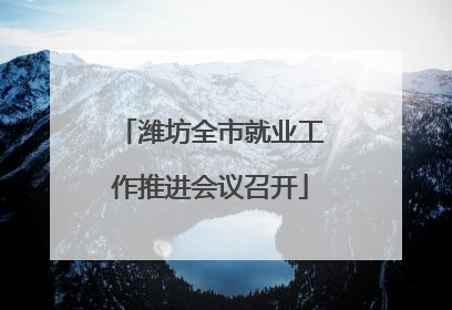 潍坊全市就业工作推进会议召开