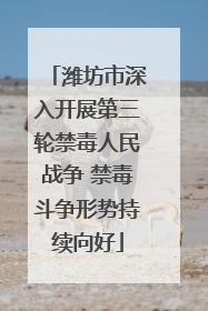 潍坊市深入开展第三轮禁毒人民战争 禁毒斗争形势持续向好