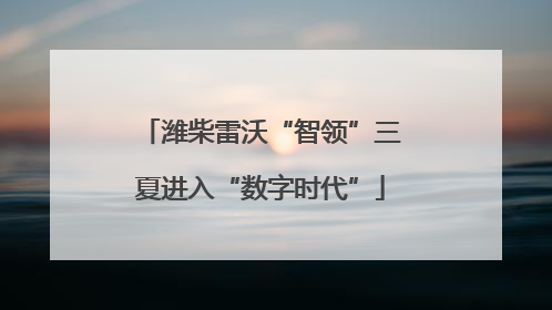 潍柴雷沃“智领”三夏进入“数字时代”
