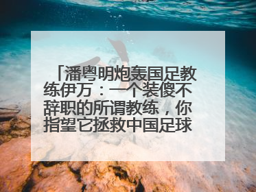 潘粤明炮轰国足教练伊万：一个装傻不辞职的所谓教练，你指望它拯救中国足球！此前曾多次发文评价国足
