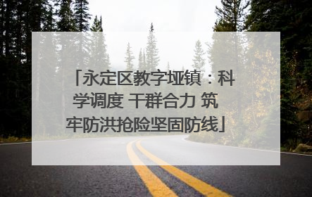 永定区教字垭镇：科学调度 干群合力 筑牢防洪抢险坚固防线