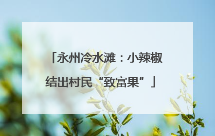 永州冷水滩：小辣椒结出村民“致富果”