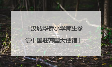 汉城华侨小学师生参访中国驻韩国大使馆