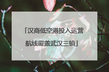 汉商低空港投入运营 航线覆盖武汉三镇