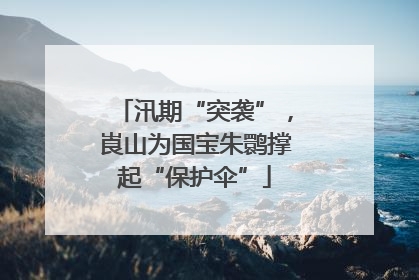 汛期“突袭”，崀山为国宝朱鹮撑起“保护伞”
