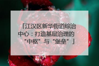 江汉区新华街道综治中心：打造基层治理的“中枢”与“堡垒”