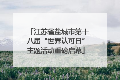 江苏省盐城市第十八届“世界认可日”主题活动重磅启幕