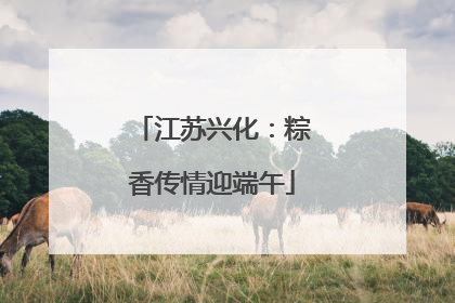 江苏兴化：粽香传情迎端午
