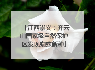江西崇义：齐云山国家级自然保护区发现蜘蛛新种