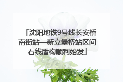 沈阳地铁9号线长安桥南街站—新立堡桥站区间右线盾构顺利始发