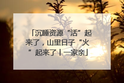 沉睡资源“活”起来了，山里日子“火”起来了丨一家亲