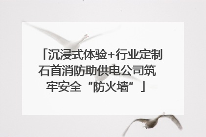 沉浸式体验+行业定制 石首消防助供电公司筑牢安全“防火墙”