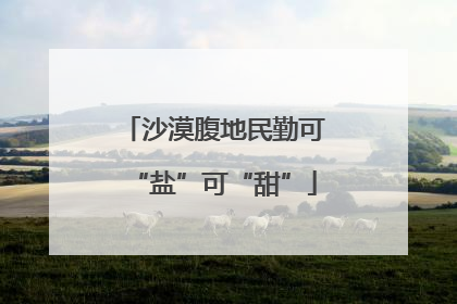 沙漠腹地民勤可“盐”可“甜”