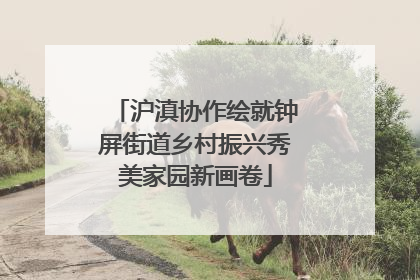 沪滇协作绘就钟屏街道乡村振兴秀美家园新画卷