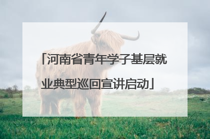 河南省青年学子基层就业典型巡回宣讲启动