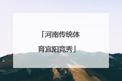 河南传统体育宜阳竞秀