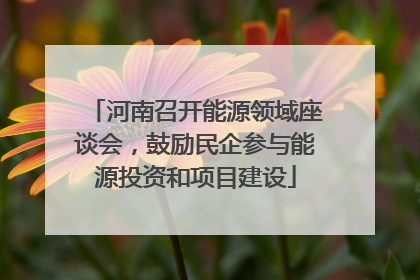 河南召开能源领域座谈会，鼓励民企参与能源投资和项目建设