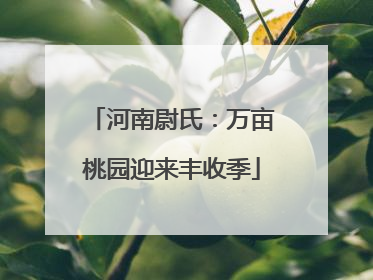河南尉氏：万亩桃园迎来丰收季